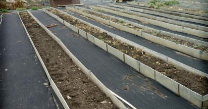 Садовые дорожки для дачи: Транспортерная лента как инновационное решение Садовые дорожки для дачи: Транспортерная лента как инновационное решение